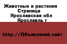  Животные и растения - Страница 6 . Ярославская обл.,Ярославль г.